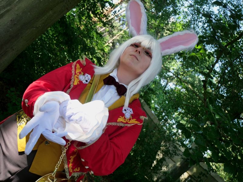 Calamity_garnet - Lapin blanc d'Alice