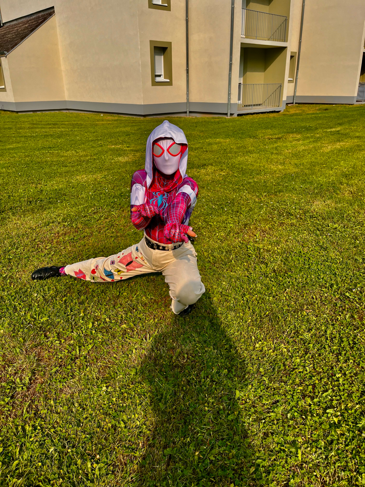 Spider butterfly  - Photo 10