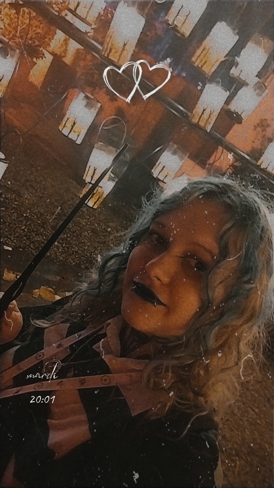 La forêt interdite - Photo 41