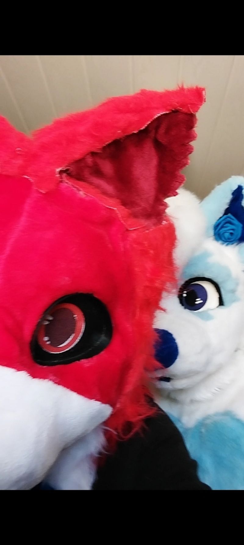 Nocturnes.water – Titan et Rød Ulva