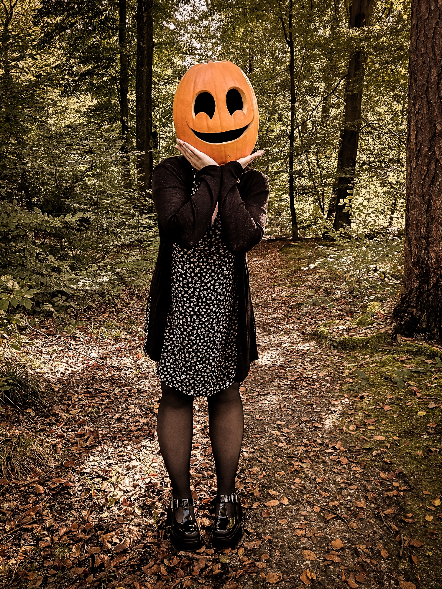 Pumpkin Heads — photo 6