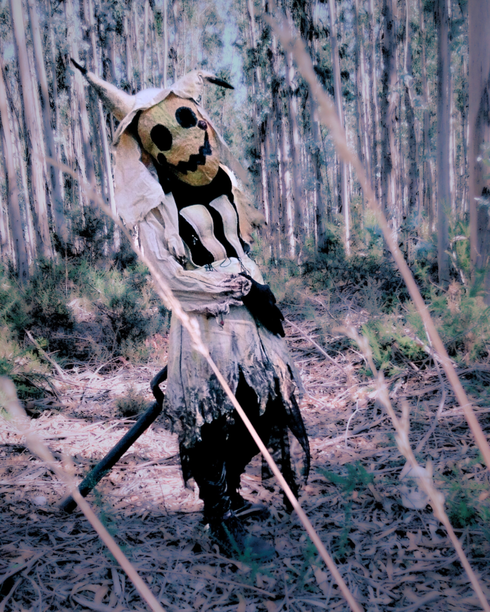 Mimikyu — photo 13