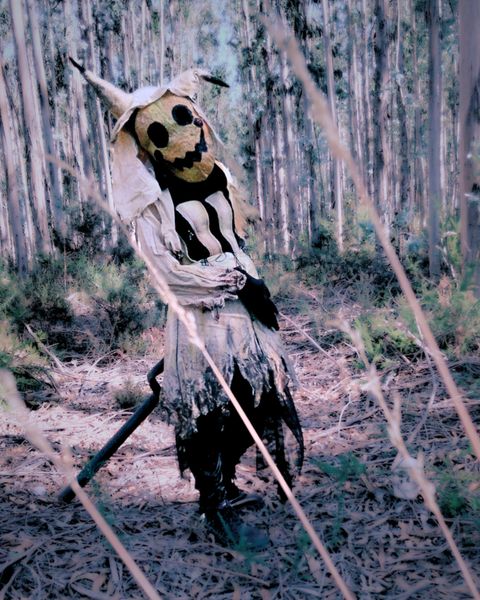 Akatsukibathory, Mimikyu 