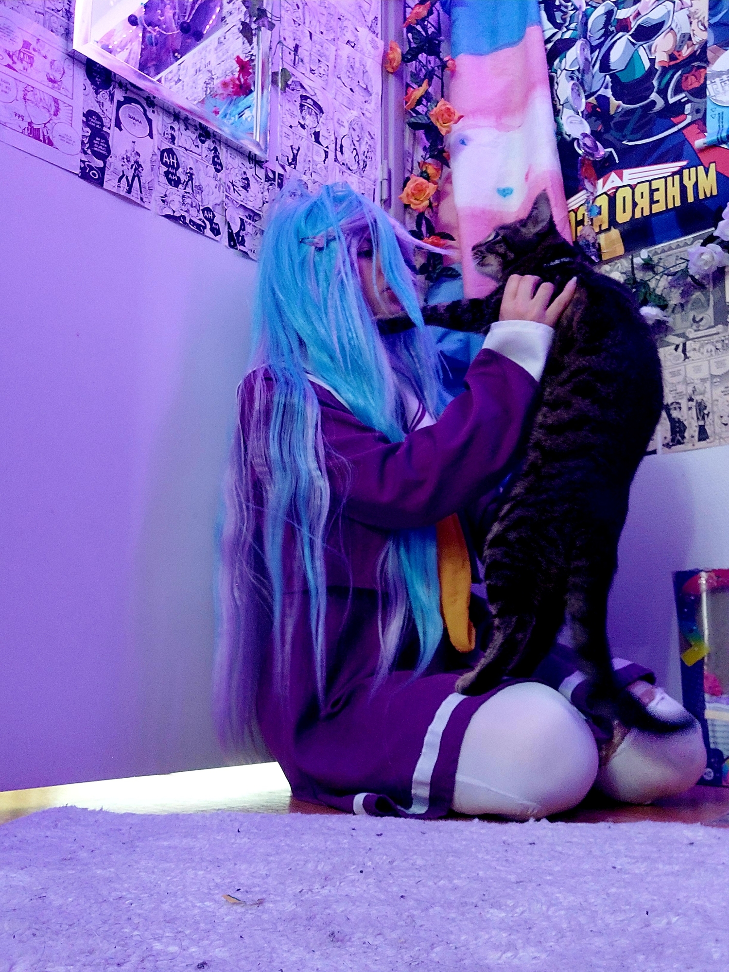 Shiro, photo 8