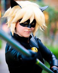 Chat noir preview 2