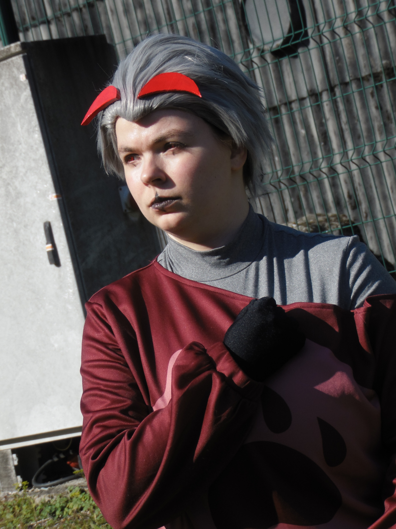 Stolas - Kamoplay - Photo 1