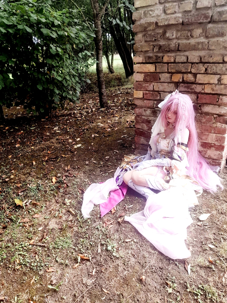 Elysia (Bailleul) — photo 5
