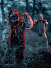 Halloween sur Endor preview 3