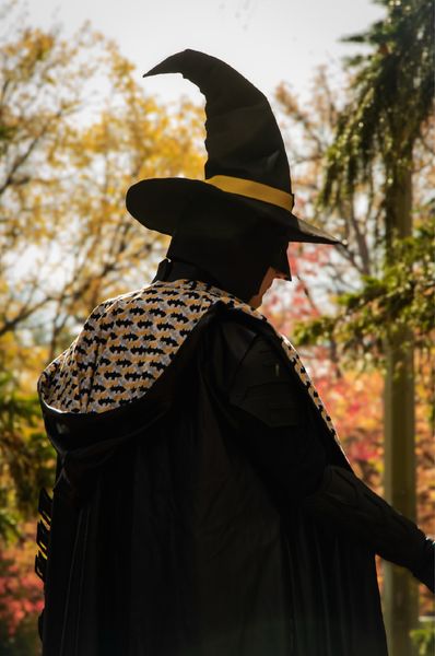 Isagaultcostume - Batman Wizard