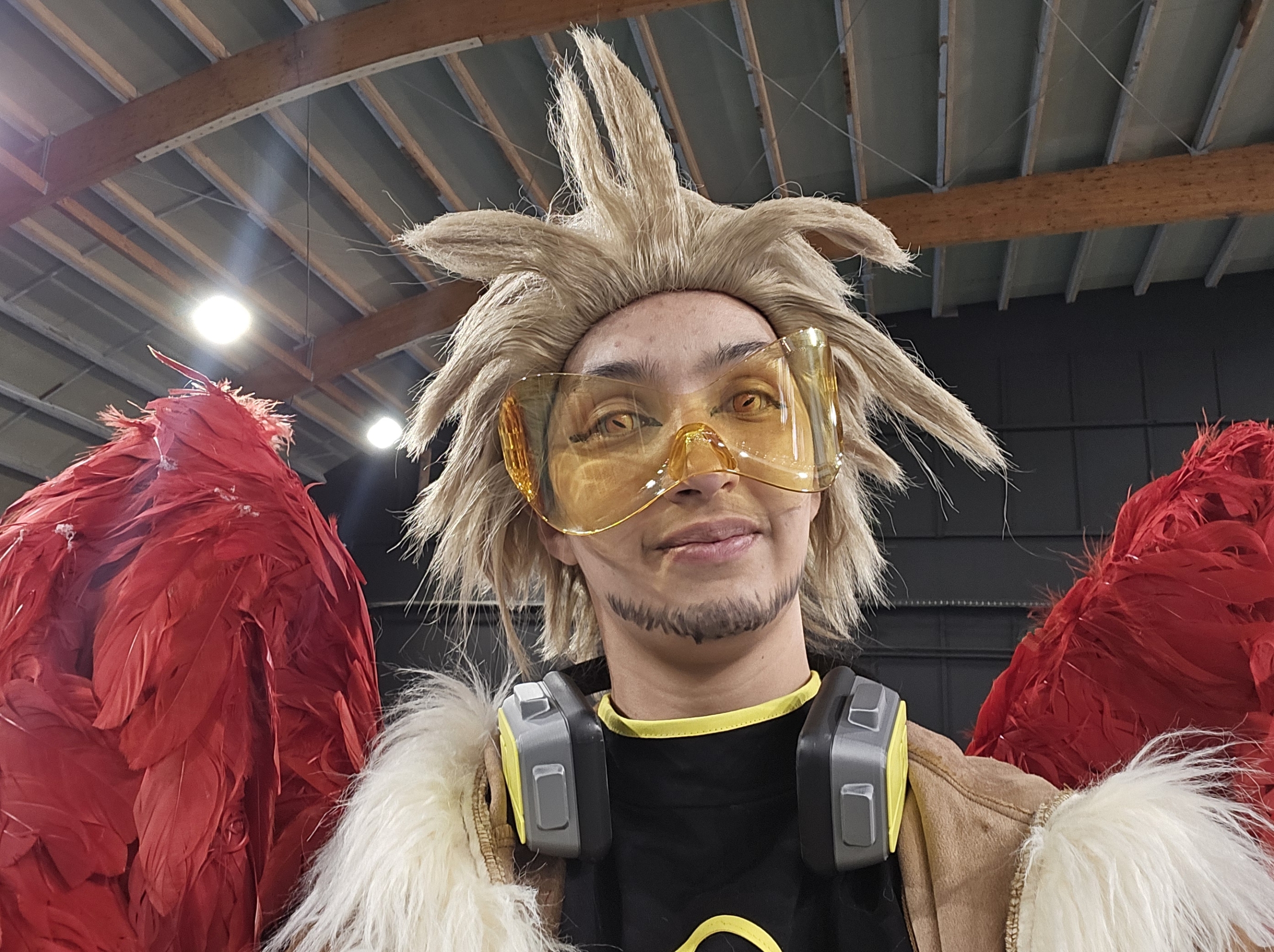 Hawks — photo 114