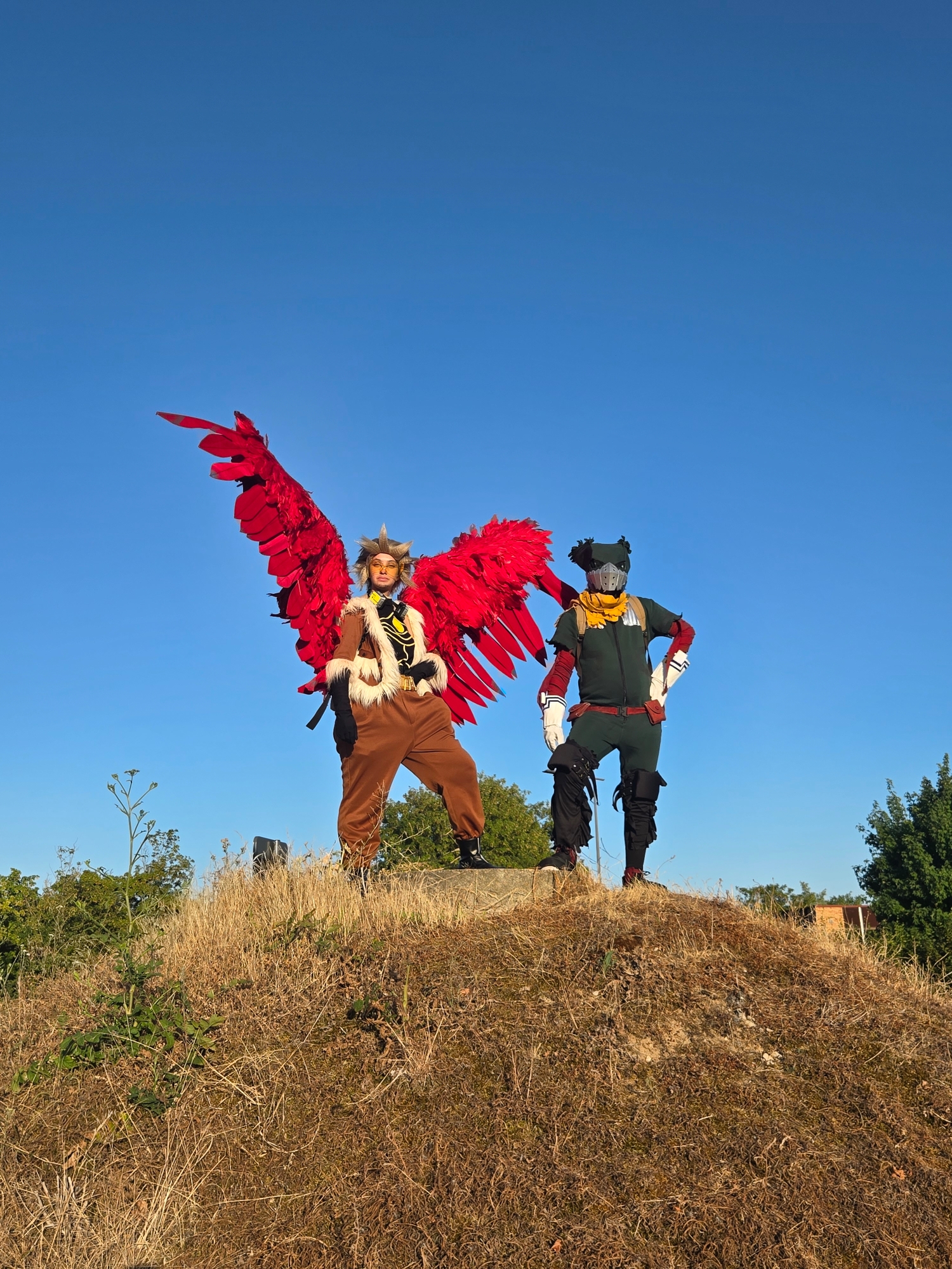 Hawks — photo 164