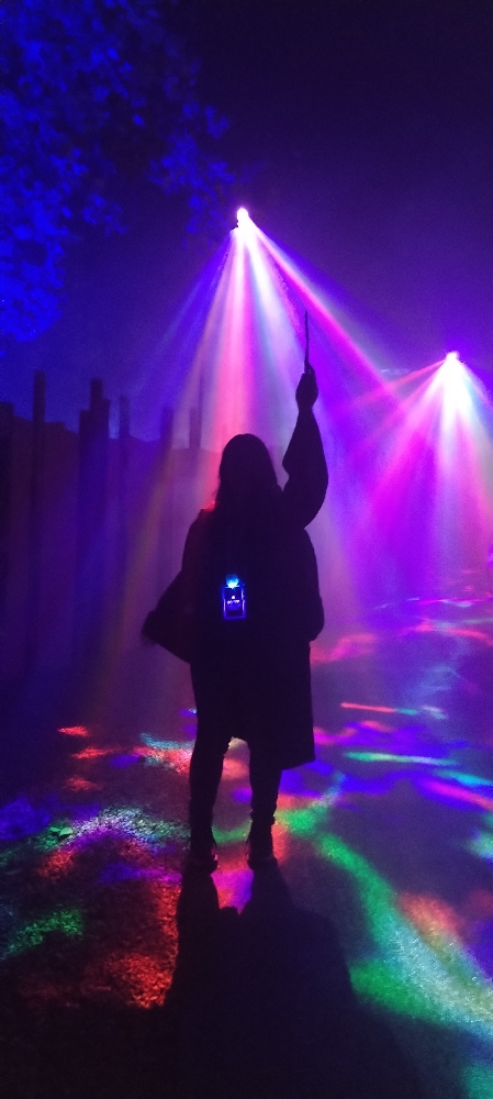 La forêt interdite - Photo 53