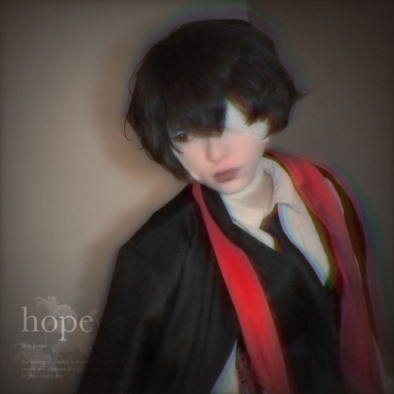 Shiwo-.- – 🕊️