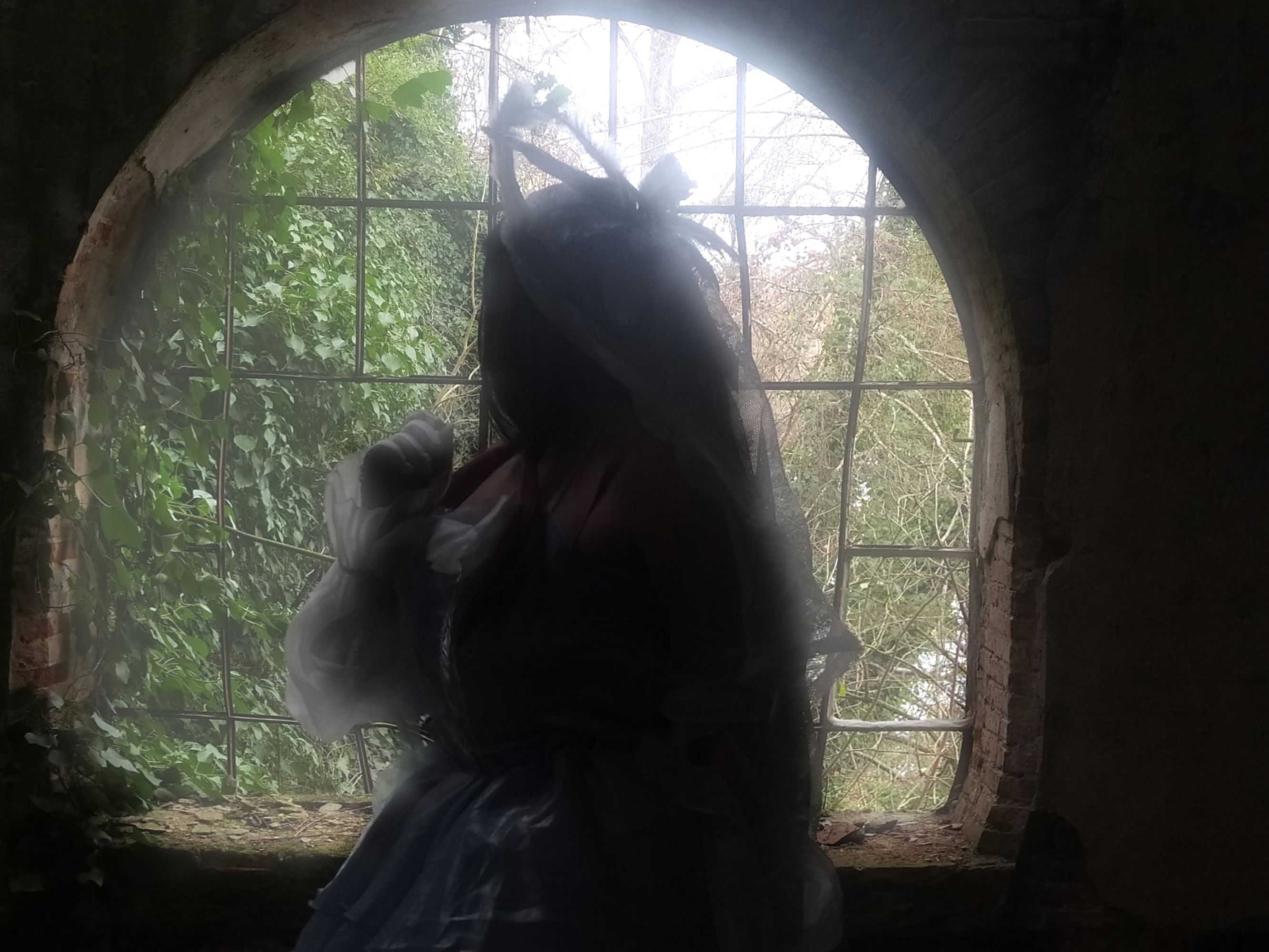 Columbina  - Photo 6