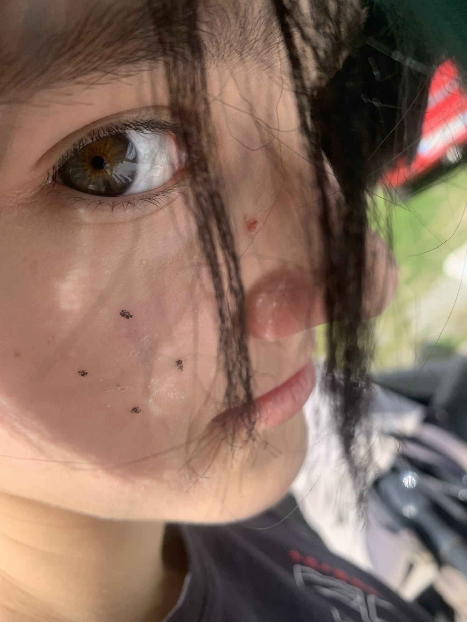 Shoto — photo 28
