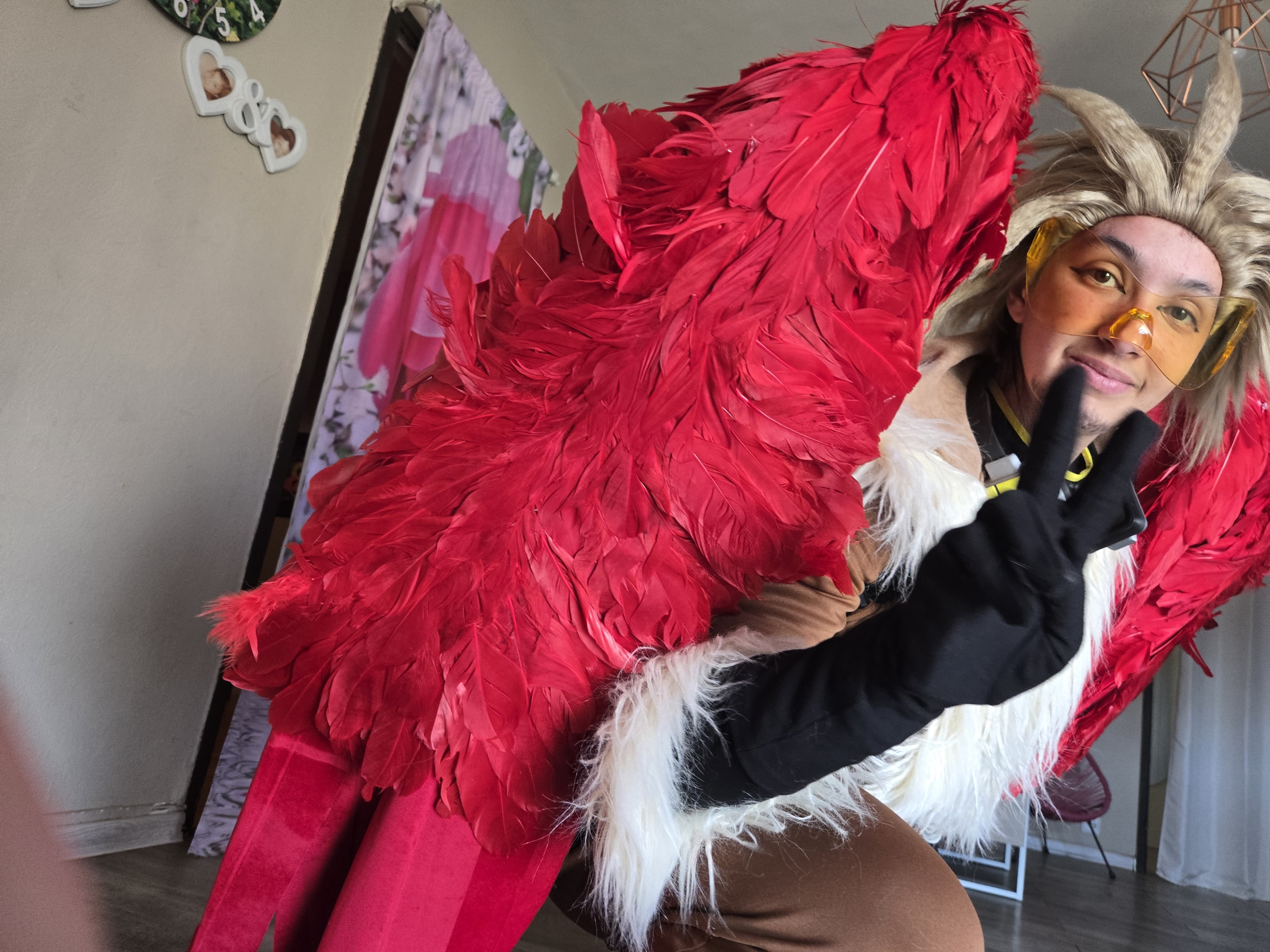 Hawks — photo 57