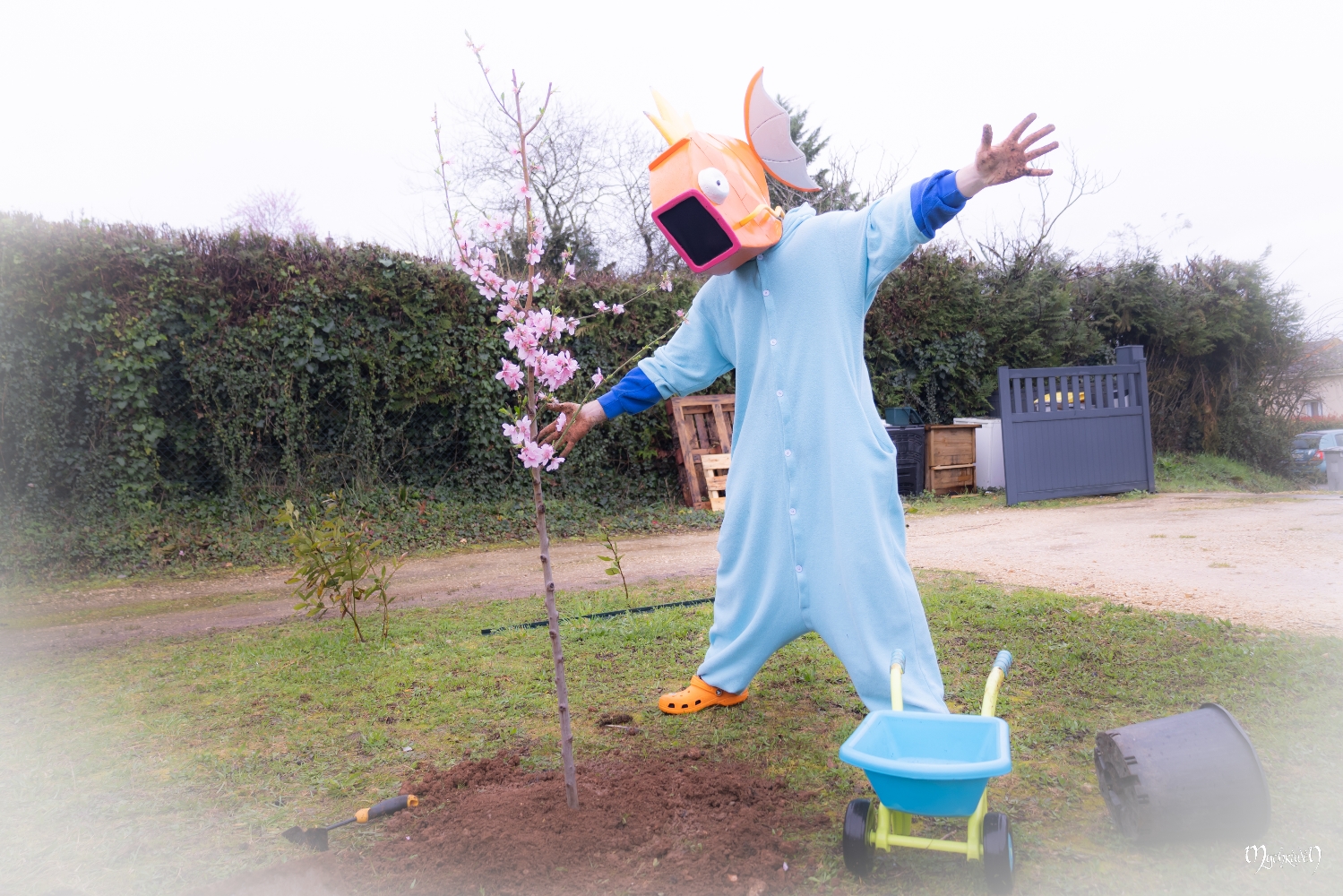 La plantation  - Photo 5