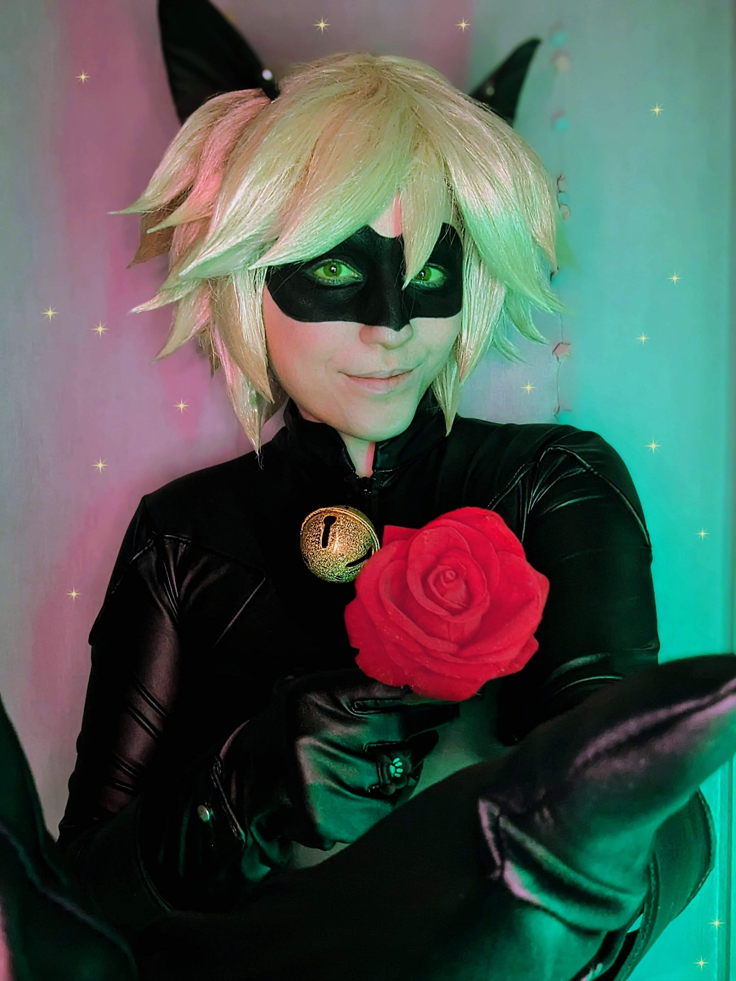 Chat noir — photo 6