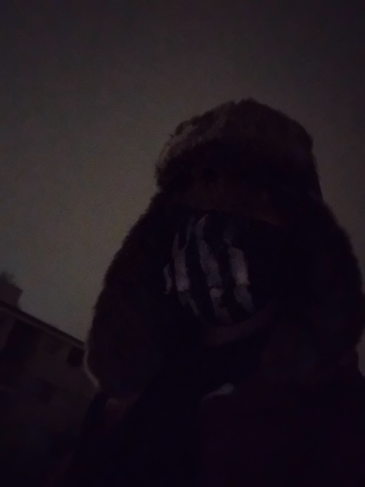 scp - 98564 a - Photo 16