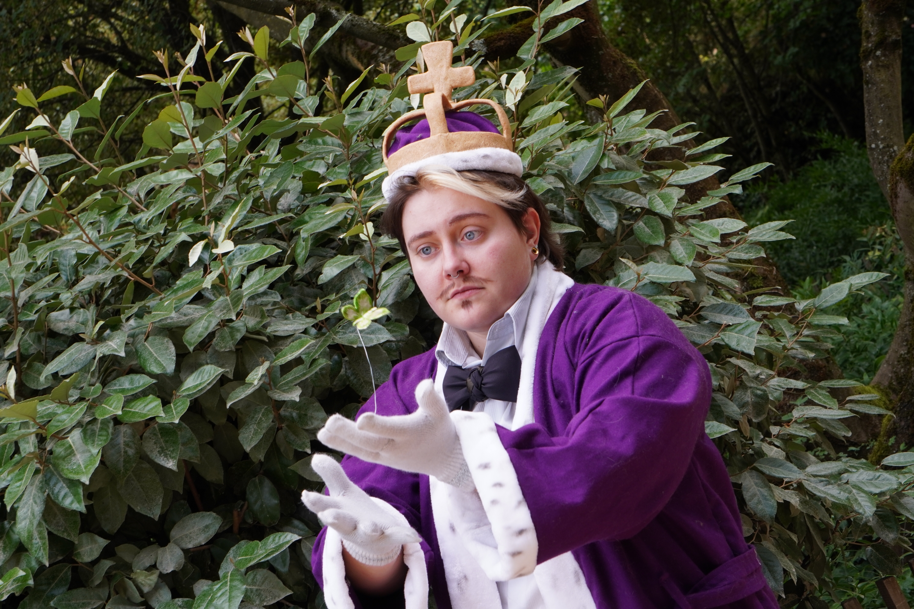 Kinger solo — photo 11