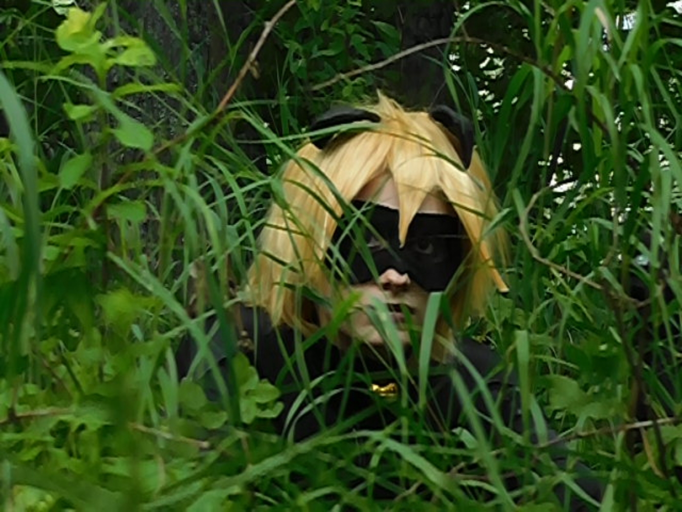 Chat Noir - Photo 11