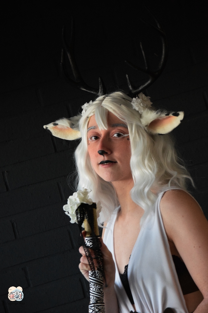 Faune noir et blanc — photo 7