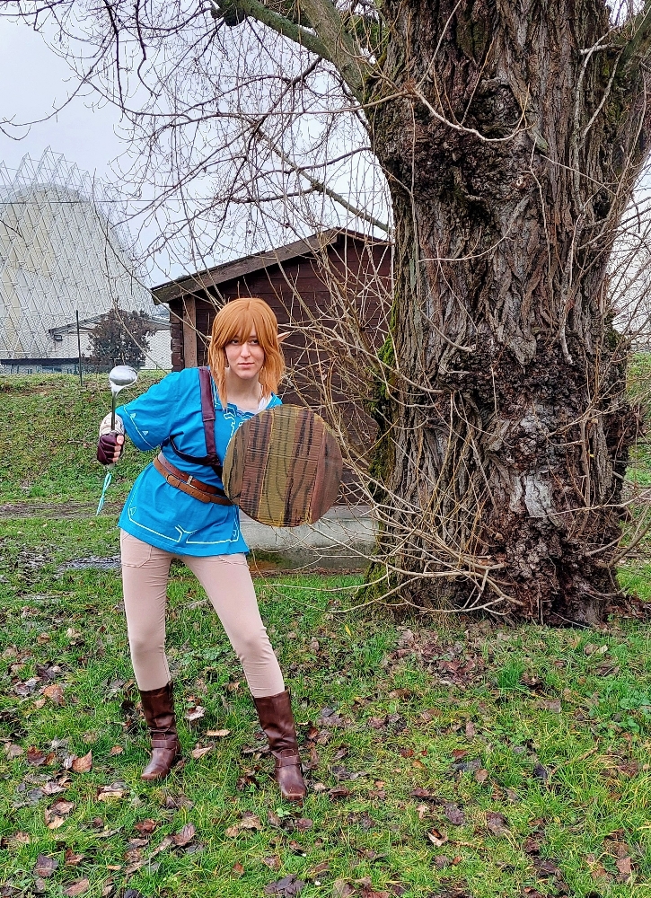 Link (Botw) - Photo 17