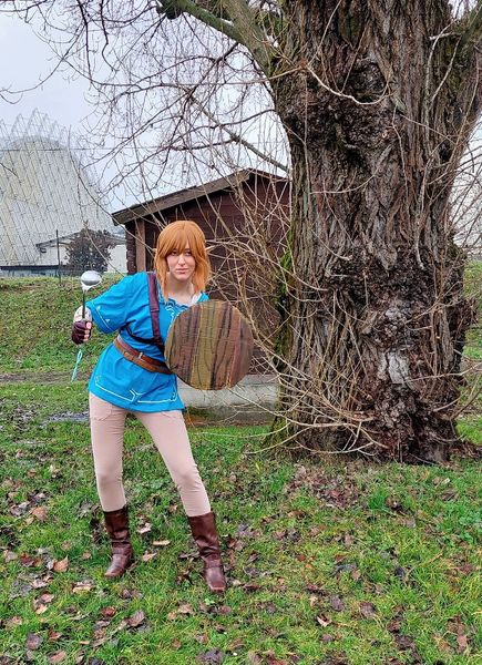 Lhyliart - Link (Botw)