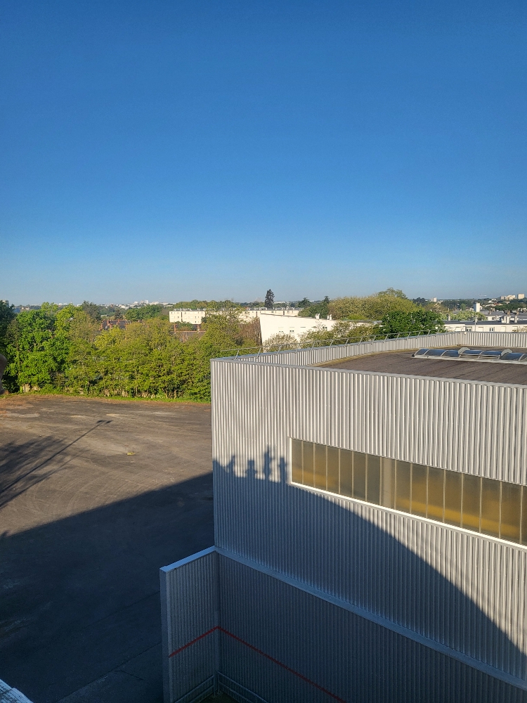 Japanantes 2024 - Photo 18