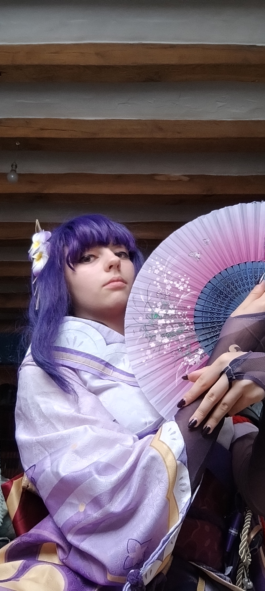 Raiden shogun — photo 12