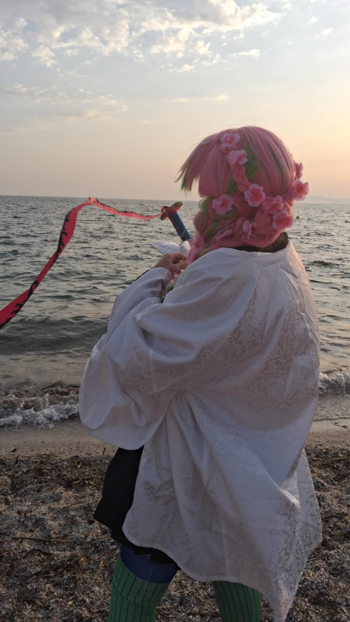 Mitsuri beach v1 - Photo 9