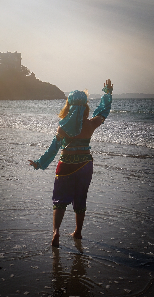 Link gerudo plage - Photo 4