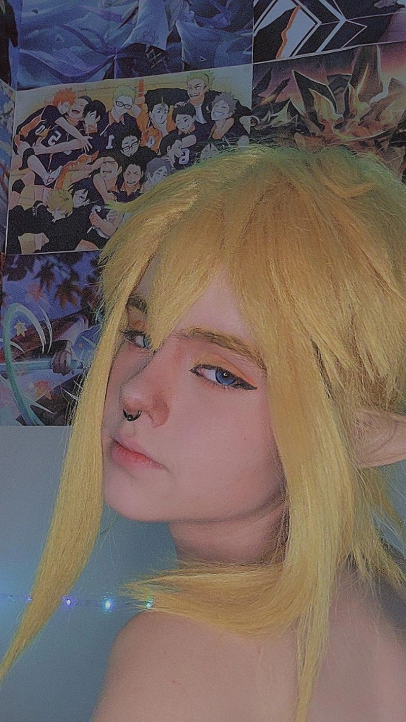 Willy_le_kiwi – Link