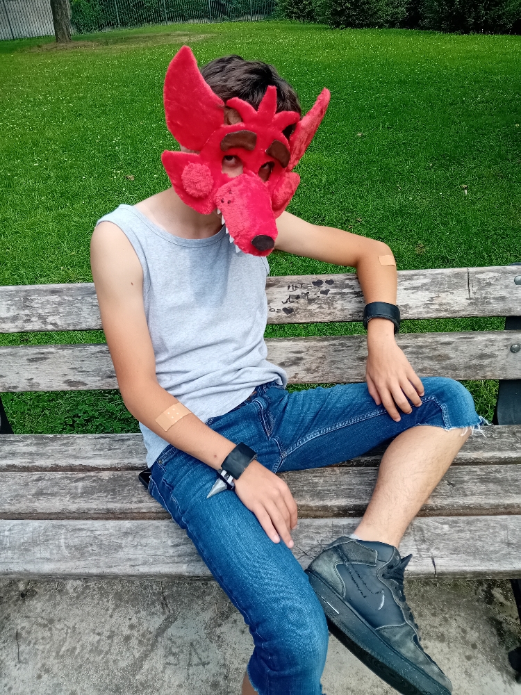 Orchies Festival - Photo 7