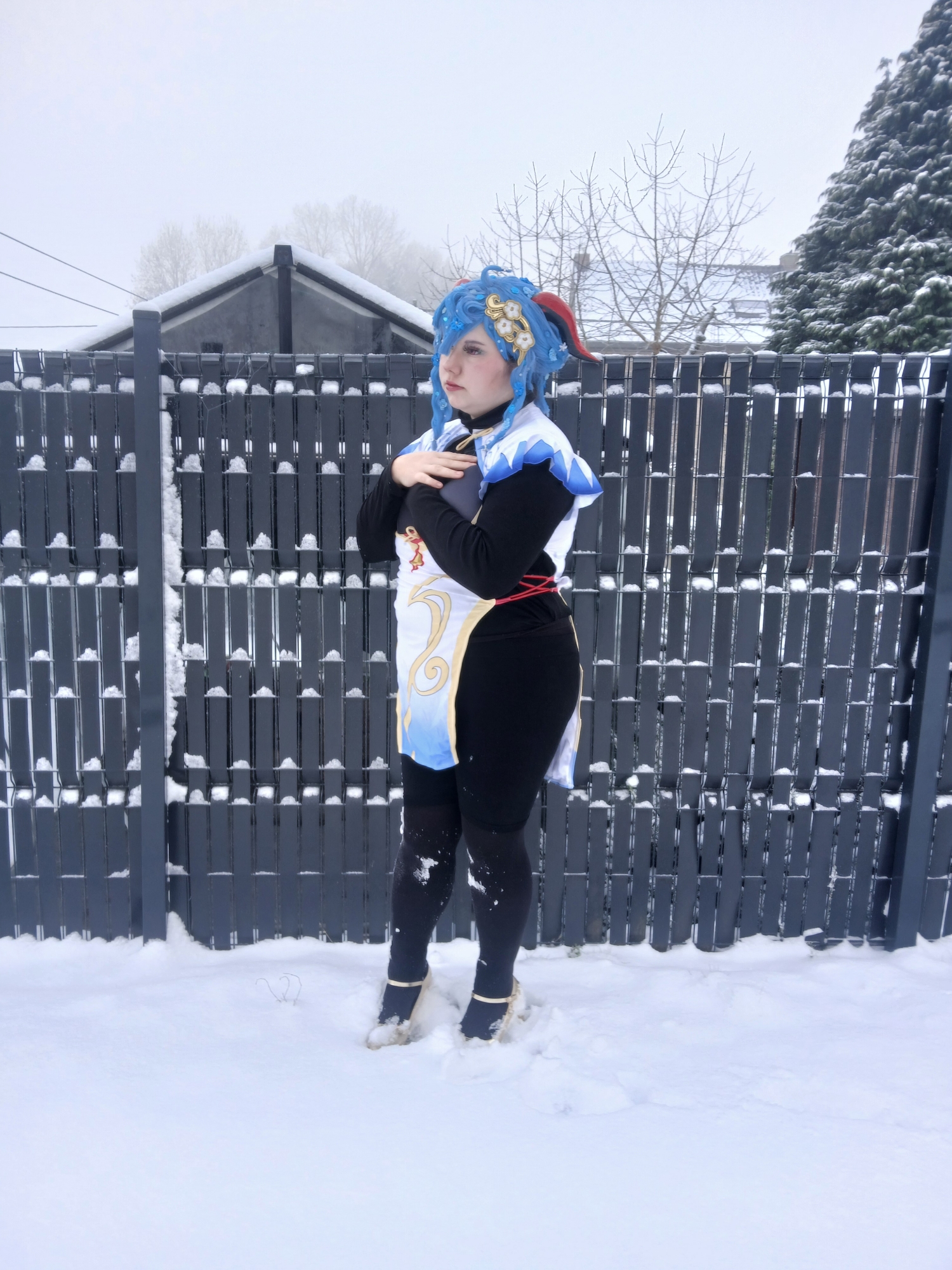 Ganyu in snow - Photo 21