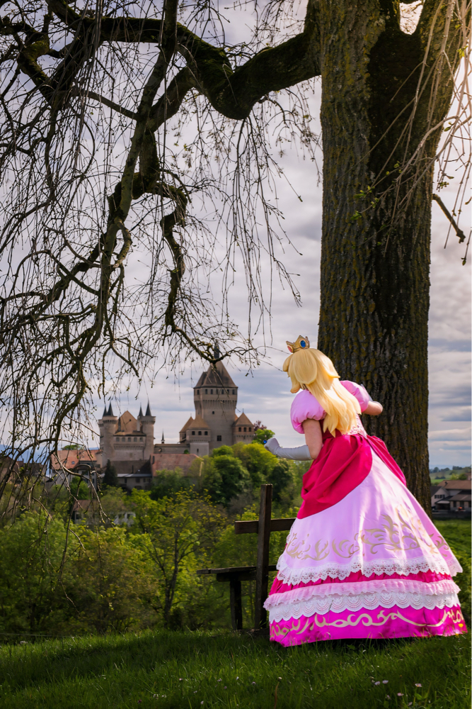 Peach and the Castel - Photo 1