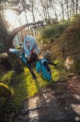 Shenhe preview 2