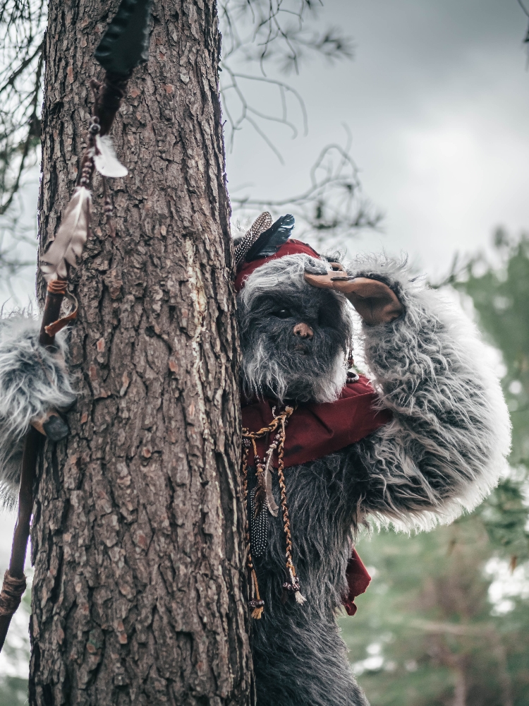 Forest Shooting - Photo 5