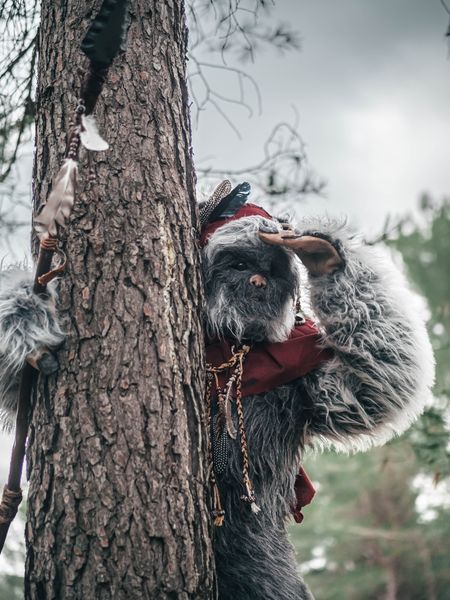 Utinni - Forest Shooting