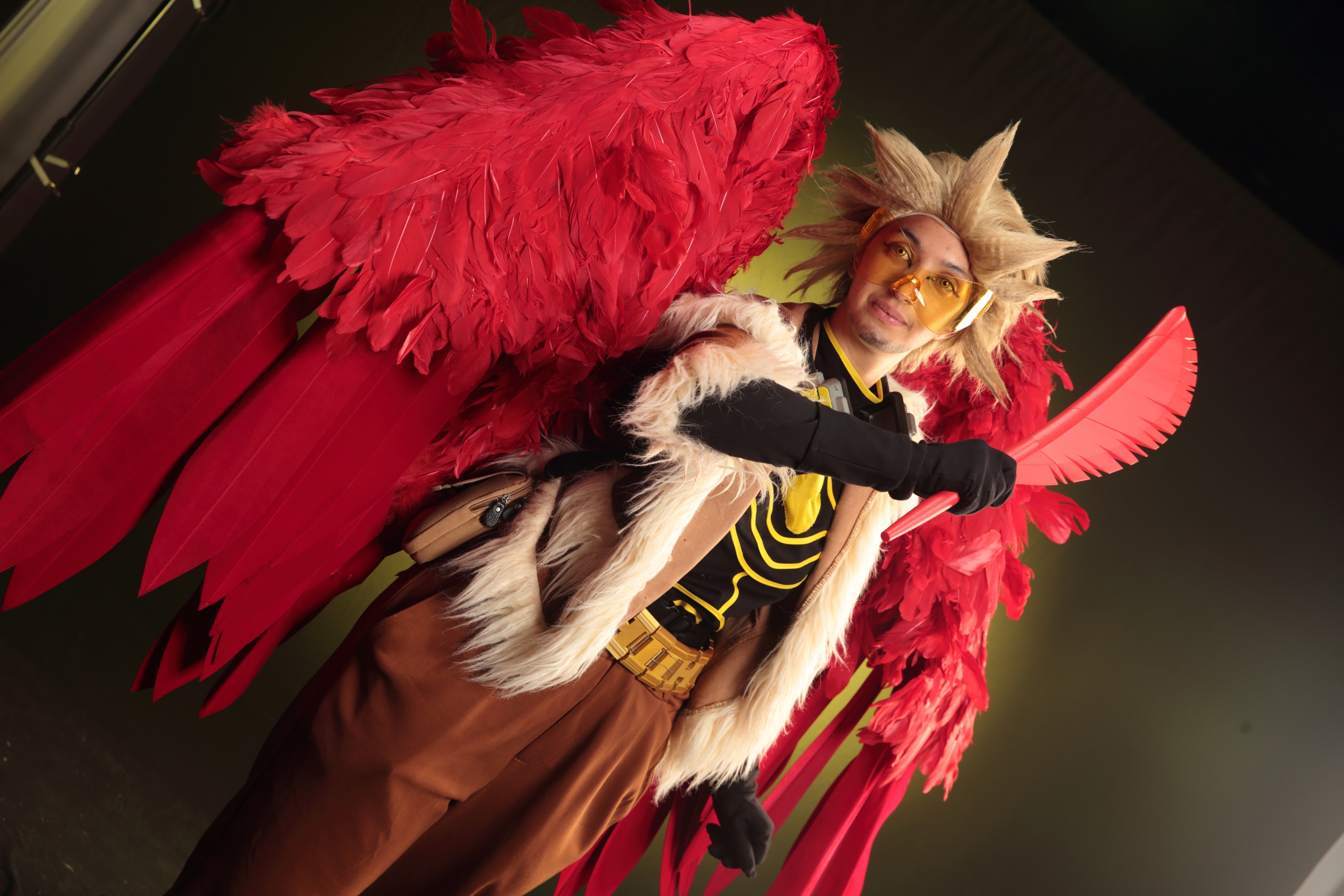 Hawks — photo 173