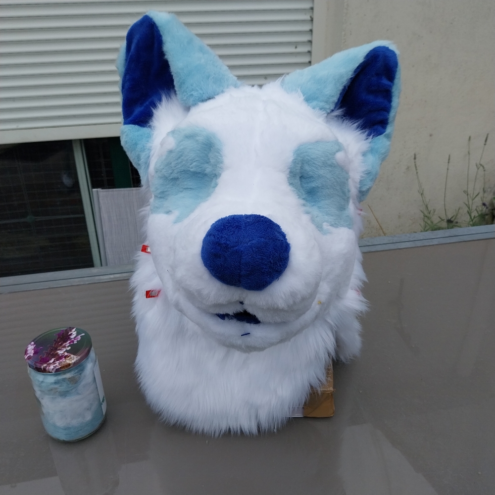 Titan refurb - Photo 6