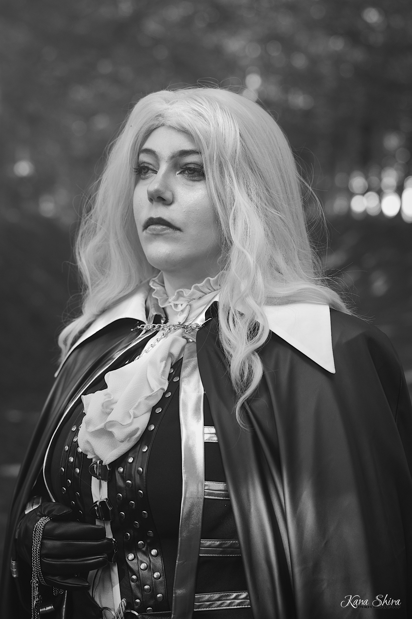 Alucard ! - Photo 4
