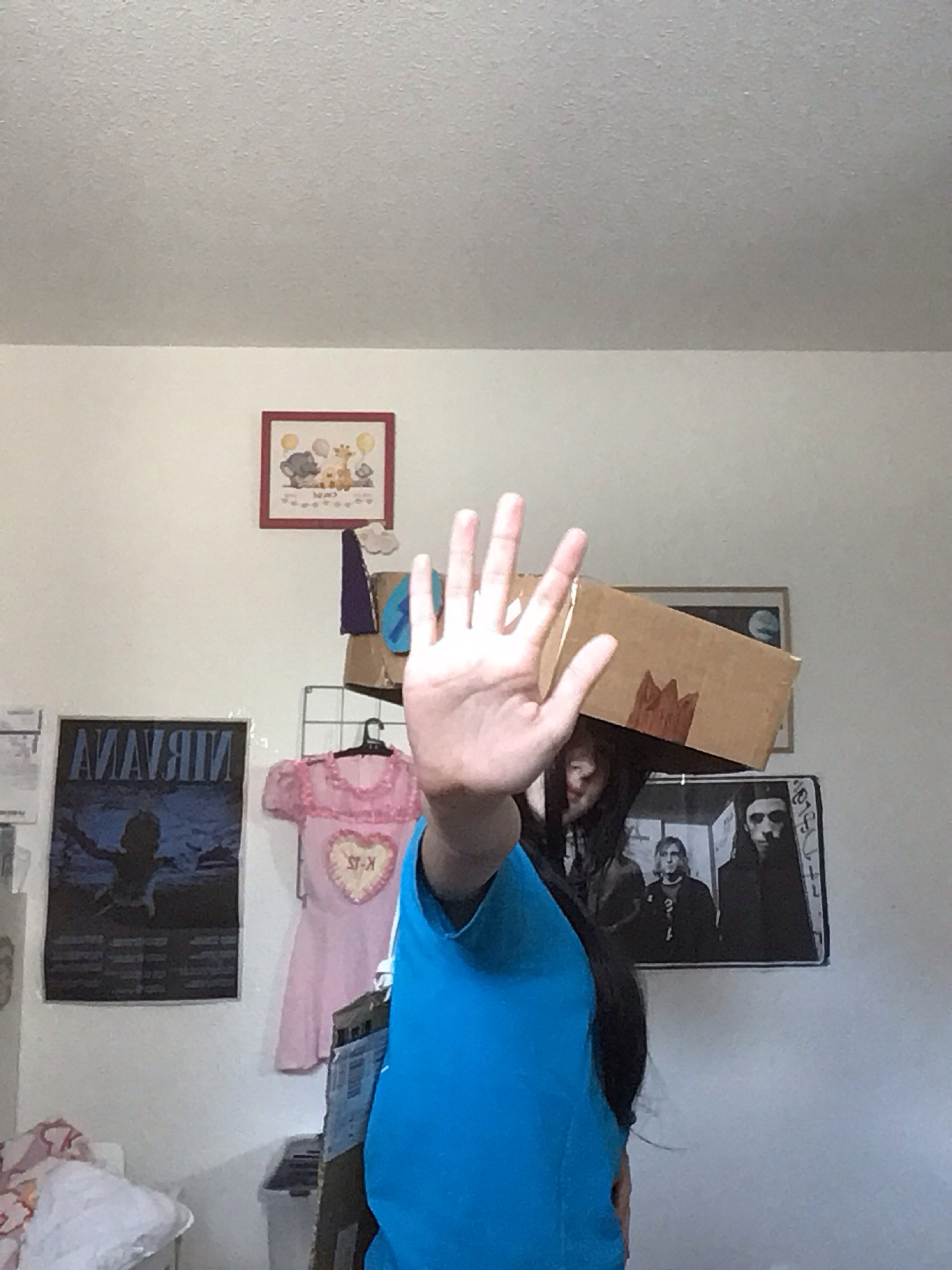 Finx — photo 20