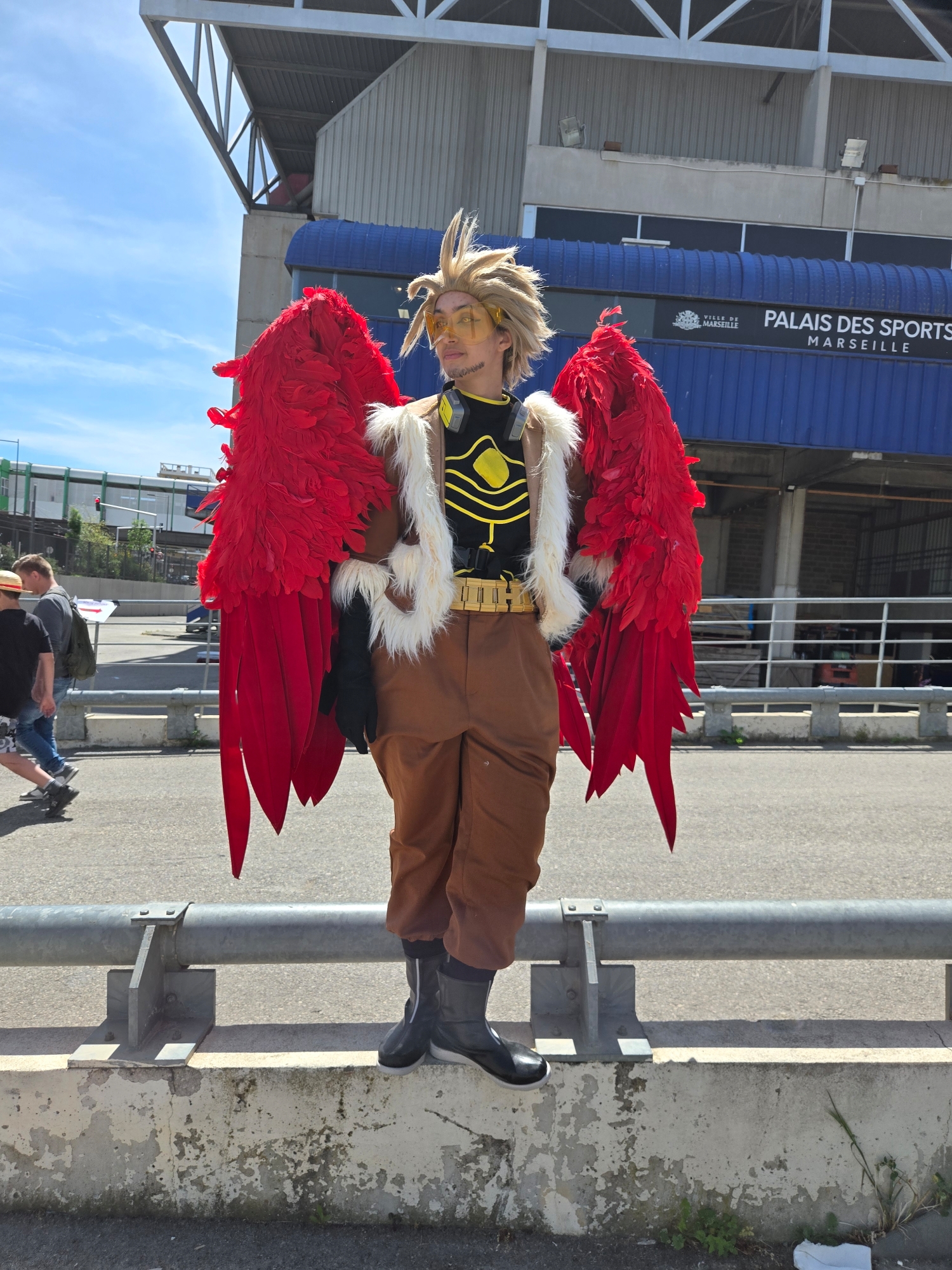 Hawks — photo 103