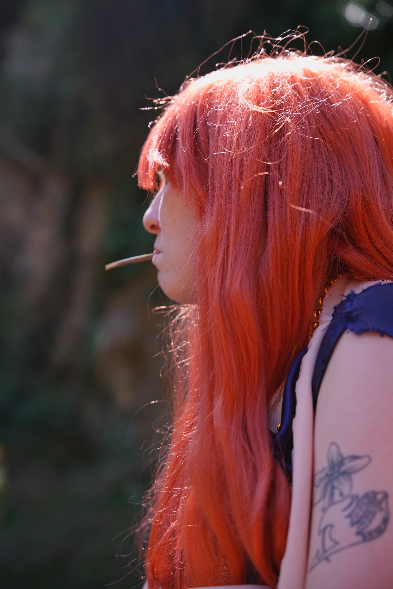 One piece alabasta  - Photo 24