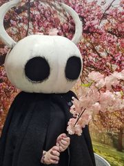 Hollow knight preview 2