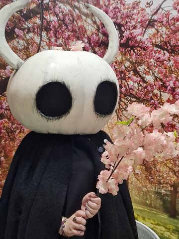 Hollow knight