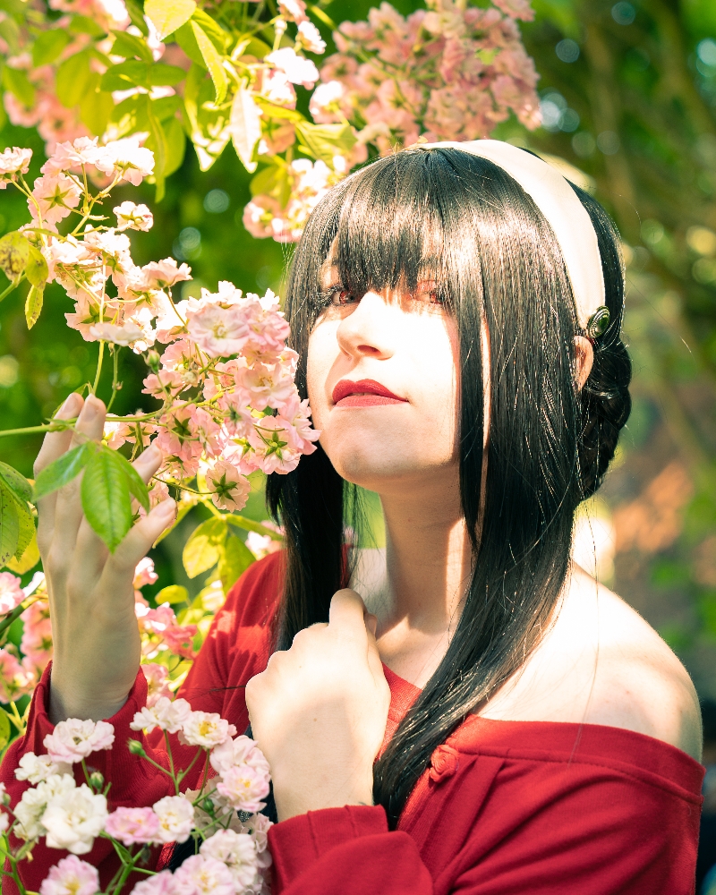 Yor Forger  - Photo 2