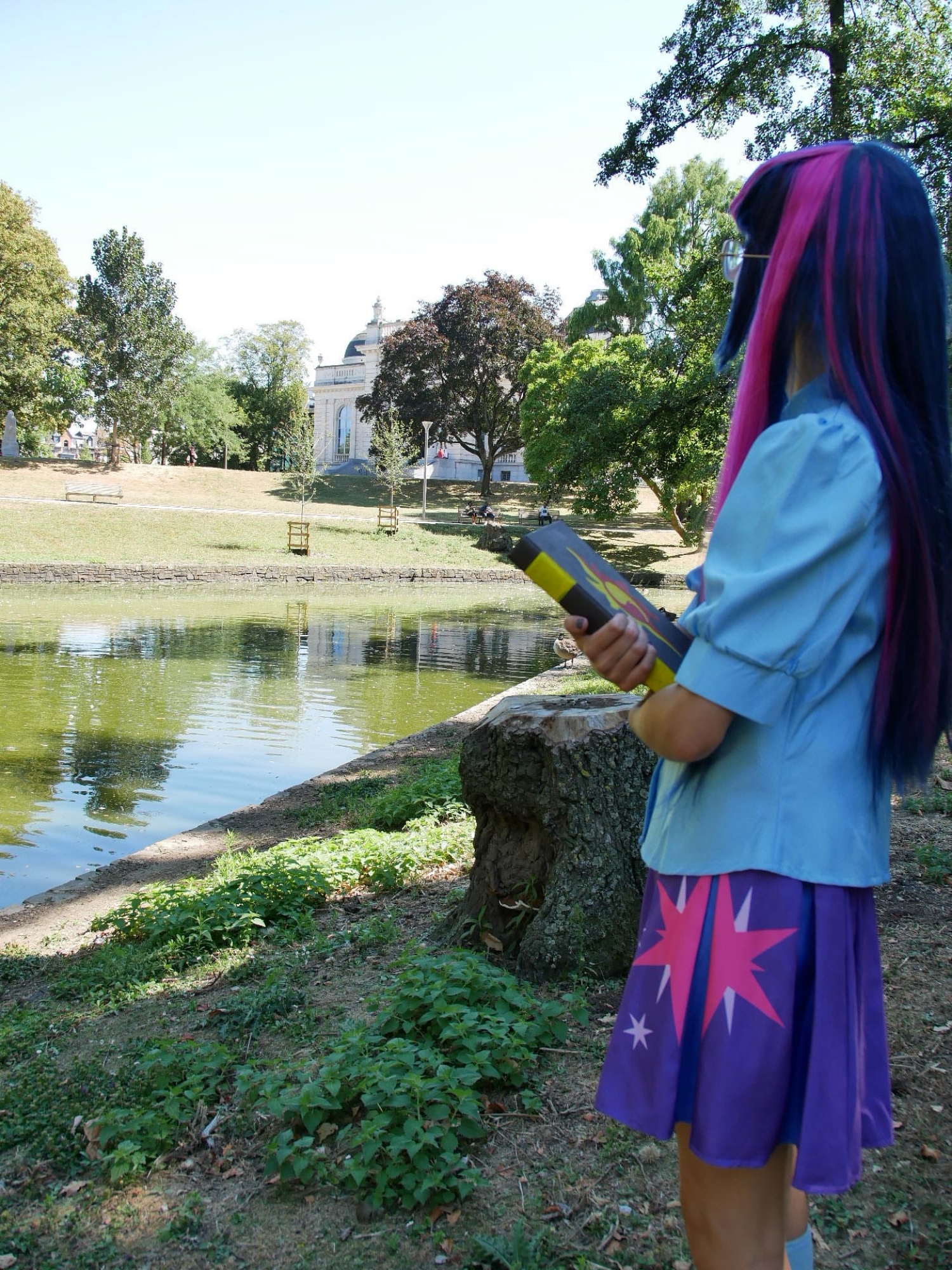 Twilight sparkle — photo 5