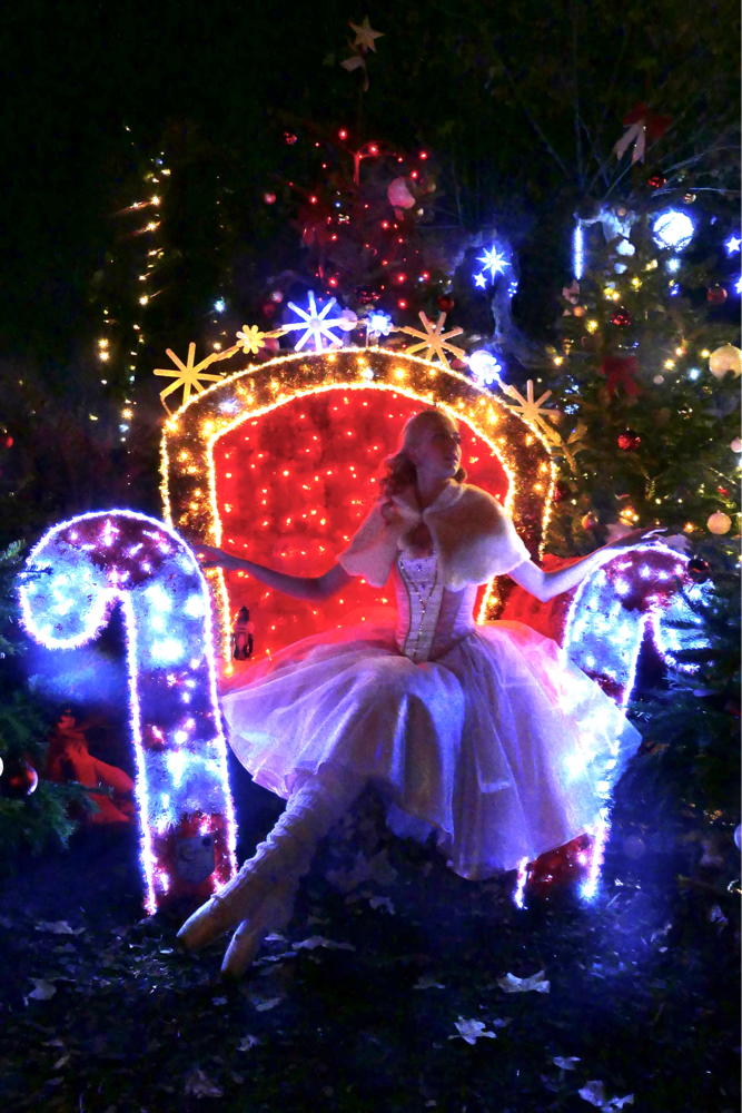 Clara/Fée Dragée 4.0, photo 5